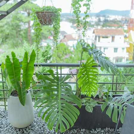 Hilly Hostel 大叻 外观 照片