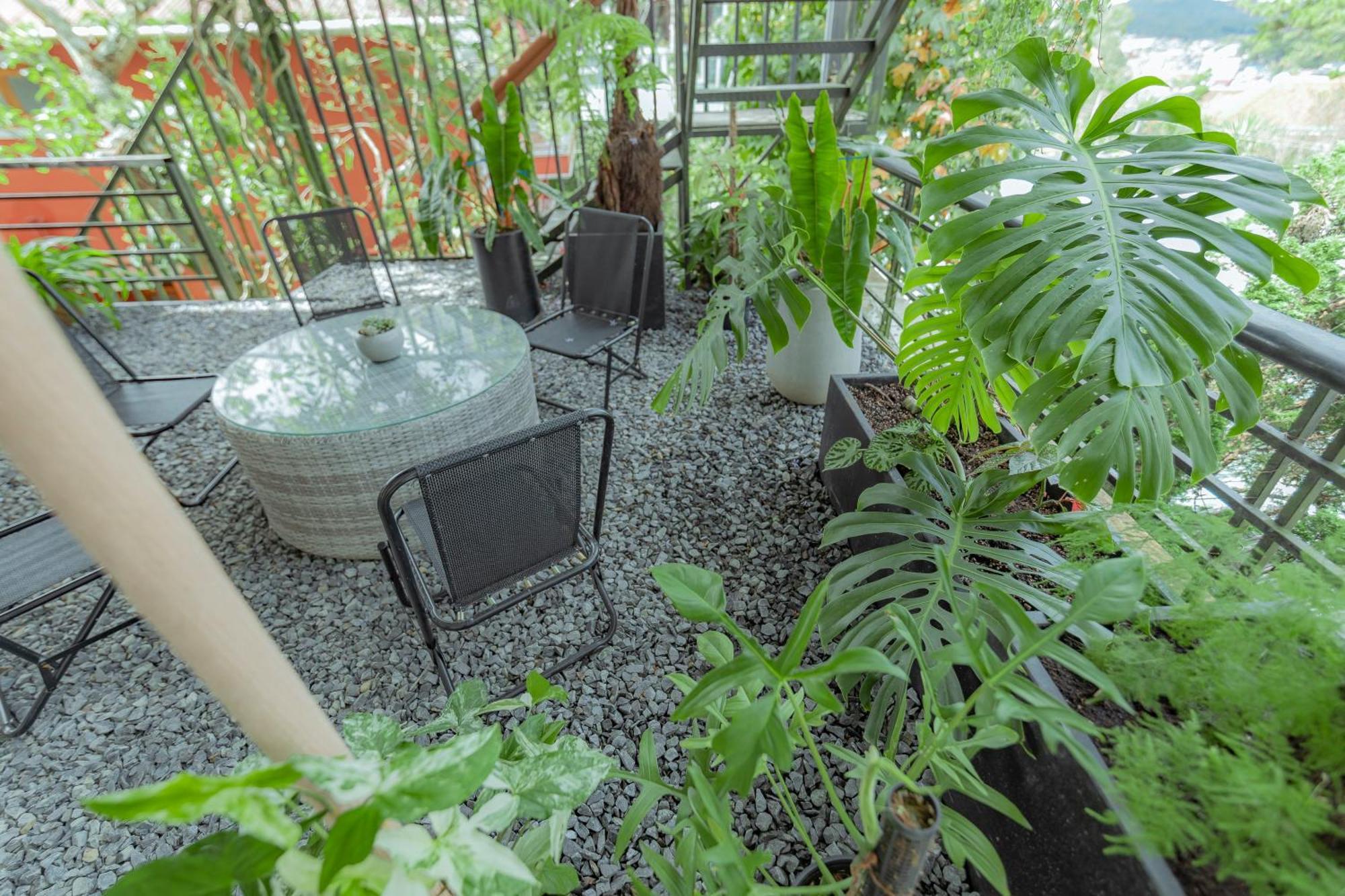 Hilly Hostel 大叻 外观 照片
