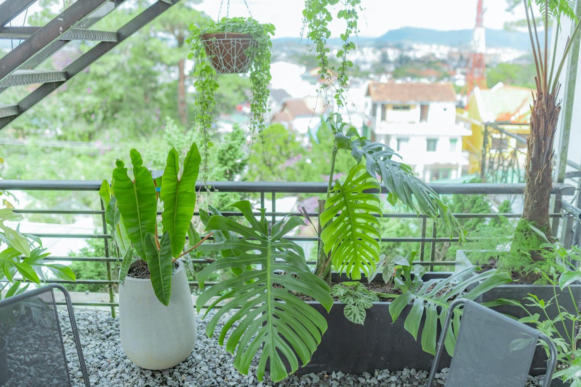 Hilly Hostel 大叻 外观 照片